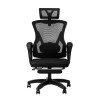 Raptor Throne S10