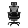 Raptor Throne S10
